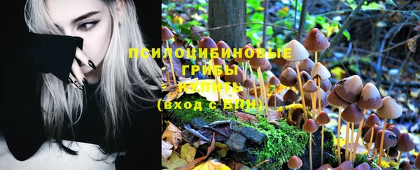 хмурый Мегион