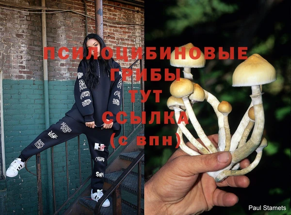 метамфетамин Медвежьегорск