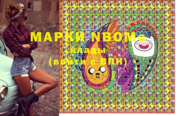 хмурый Мегион