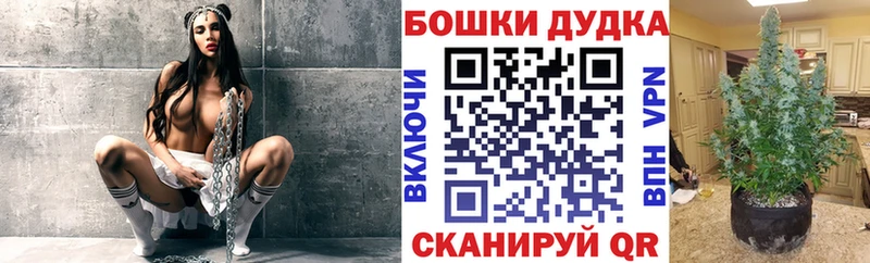 купить наркоту  Полтавская  hydra как войти  Марихуана Amnesia 